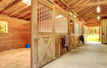 Llandruidion stable construction leads